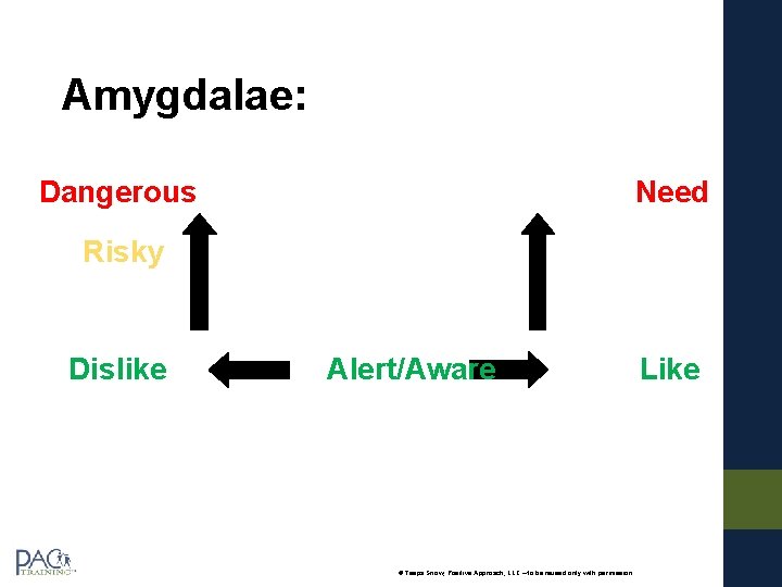 Amygdalae: Dangerous Need Risky Dislike Alert/Aware © Teepa Snow, Positive Approach, LLC – to