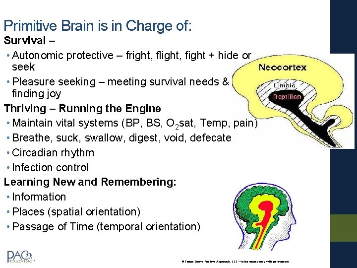 Primitive Brain is in Charge of: Survival – • Autonomic protective – fright, flight,