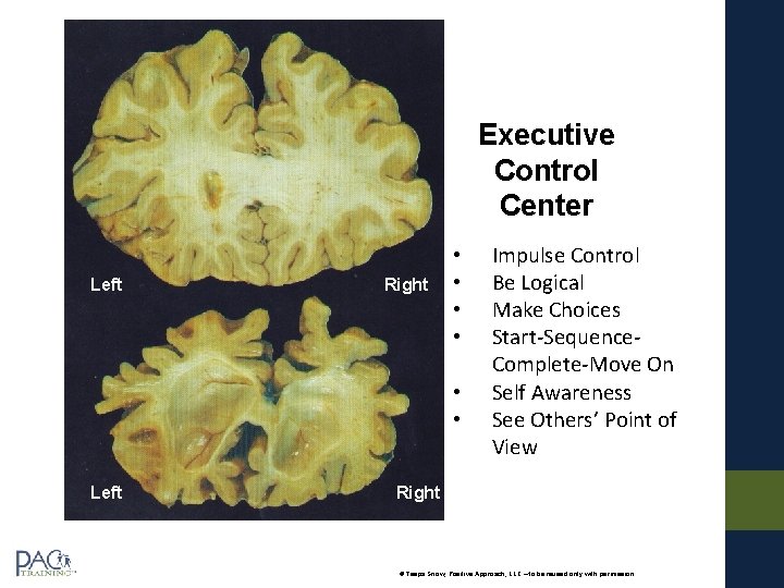 Executive Control Center Left Right • • • Left Impulse Control Be Logical Make