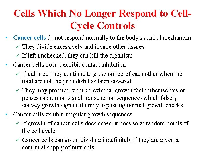 Cells Which No Longer Respond to Cell. Cycle Controls • Cancer cells do not