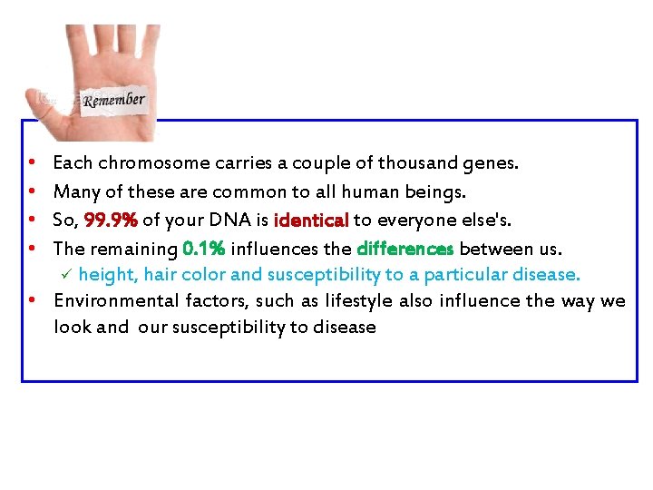  • • Each chromosome carries a couple of thousand genes. Many of these