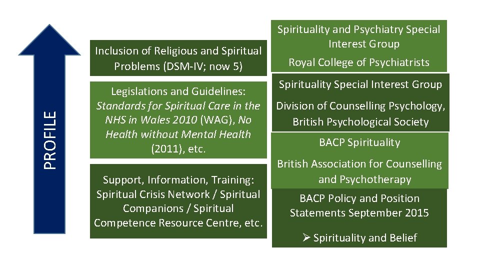 PROFILE Inclusion of Religious and Spiritual Problems (DSM-IV; now 5) Legislations and Guidelines: Standards