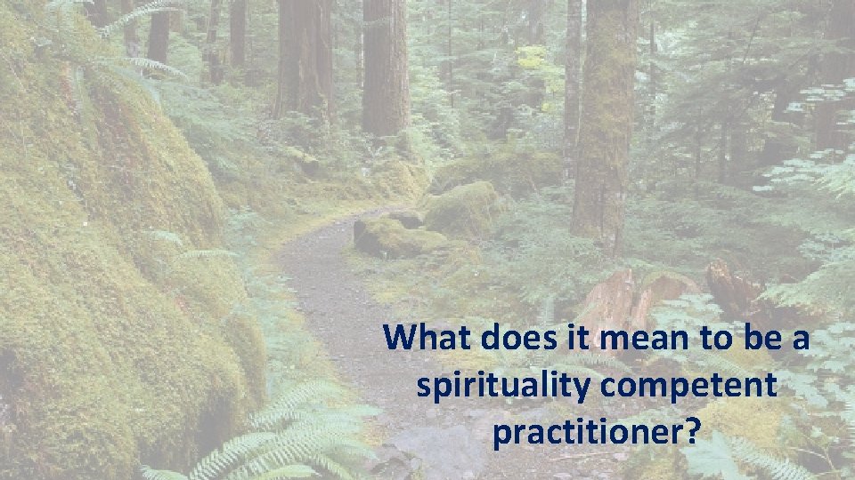What does it mean to be a spirituality competent practitioner? 