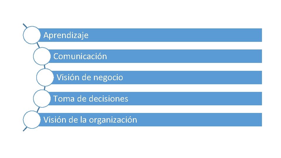 Aprendizaje Comunicación Visión de negocio Toma de decisiones Visión de la organización 