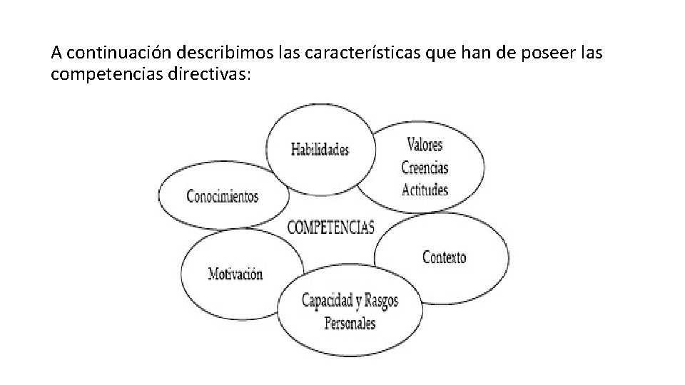 A continuación describimos las características que han de poseer las competencias directivas: 