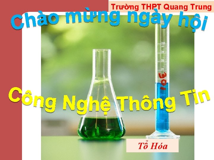 Trường THPT Quang Trung Tổ Hóa 