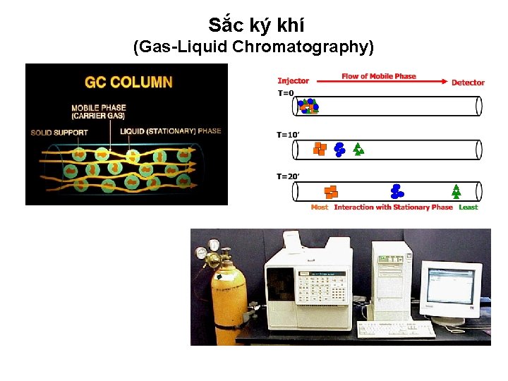Sắc ký khí (Gas-Liquid Chromatography) 