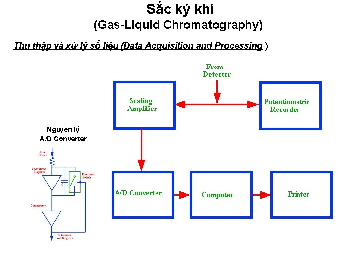 Sắc ký khí (Gas-Liquid Chromatography) Thu thập và xử lý số liệu (Data Acquisition