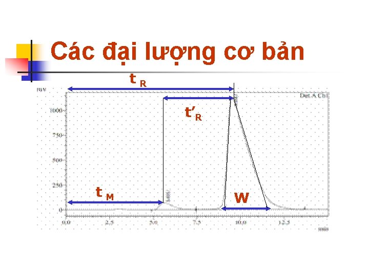 Các đại lượng cơ bản t. R t’R t. M W 