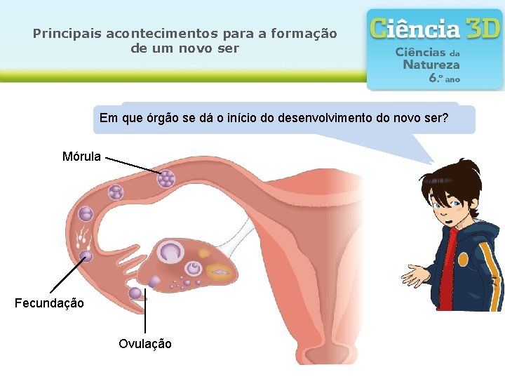 Principais acontecimentos para a formação de um novo ser Explica odá que é aocorre, Principais acontecimentos para a formação de um novo ser Explica odá que é aocorre,