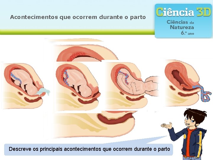 Acontecimentos que ocorrem durante o parto Descreve os principais acontecimentos que ocorrem durante o Acontecimentos que ocorrem durante o parto Descreve os principais acontecimentos que ocorrem durante o