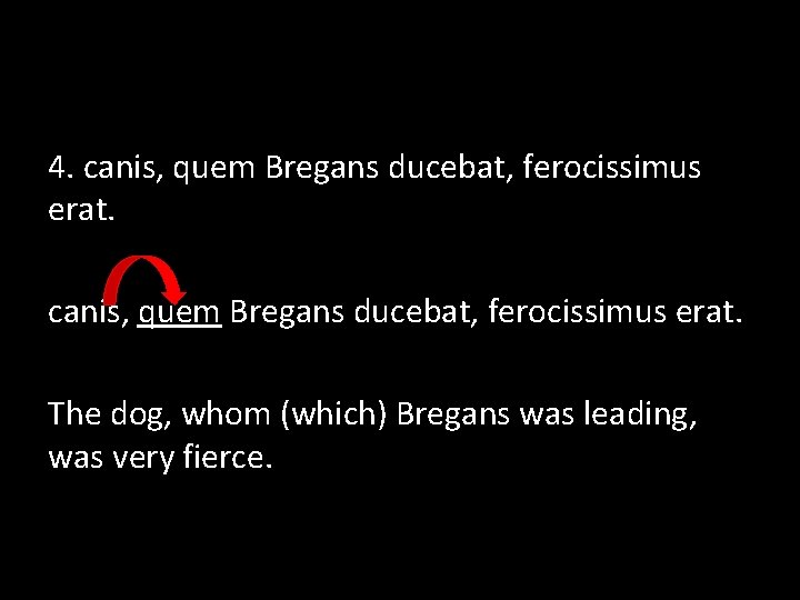 4. canis, quem Bregans ducebat, ferocissimus erat. The dog, whom (which) Bregans was leading,