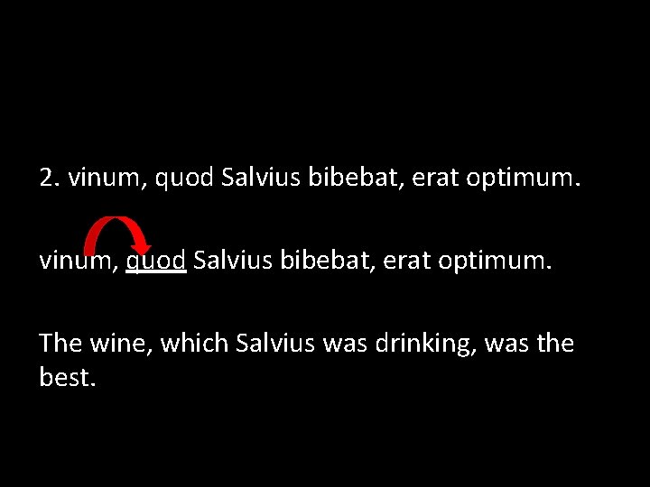 2. vinum, quod Salvius bibebat, erat optimum. The wine, which Salvius was drinking, was