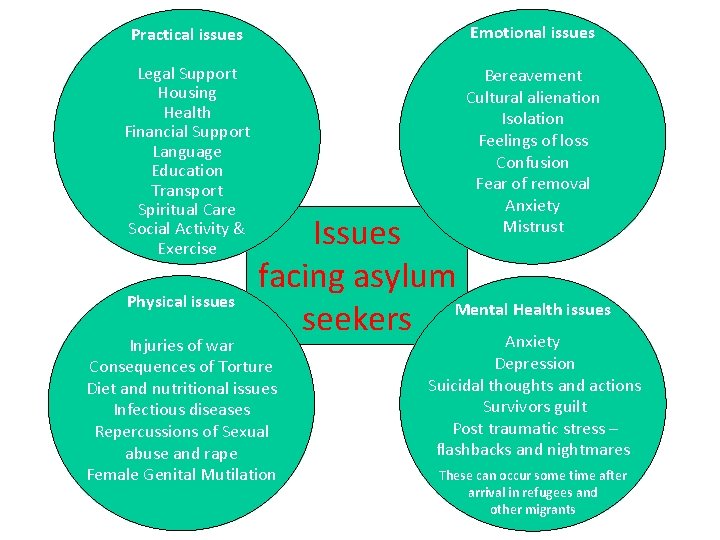 Practical issues Emotional issues Legal Support Housing Health Financial Support Language Education Transport Spiritual