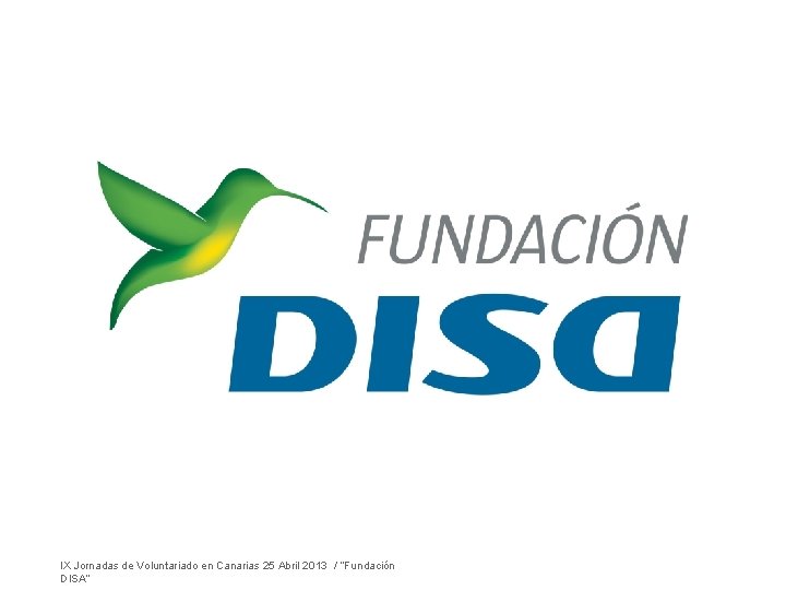 IX Jornadas de Voluntariado en Canarias 25 Abril 2013 / “Fundación DISA” 