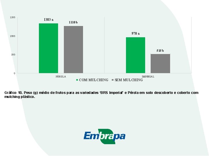 1500 1383 a 1110 b 970 a 1000 515 b 500 0 PÉROLA IMPERIAL 1500 1383 a 1110 b 970 a 1000 515 b 500 0 PÉROLA IMPERIAL