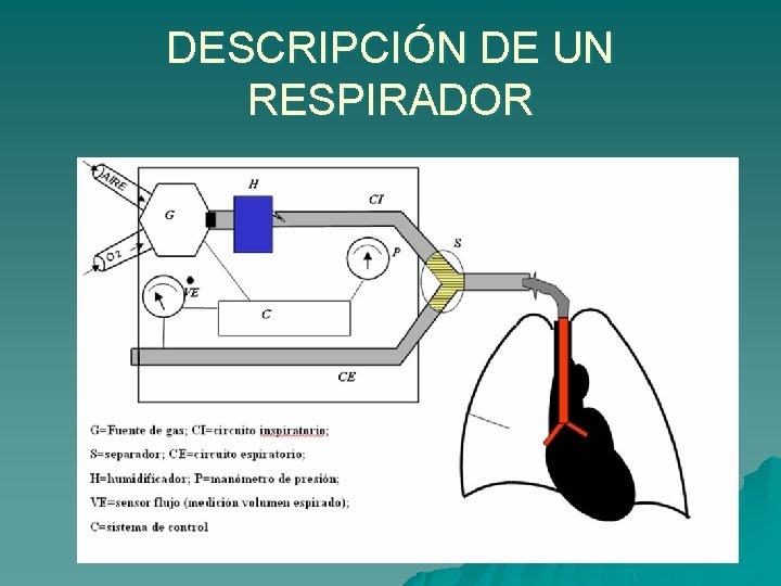 DESCRIPCIÓN DE UN RESPIRADOR 