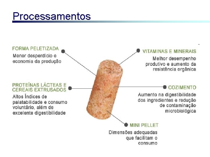 Processamentos 