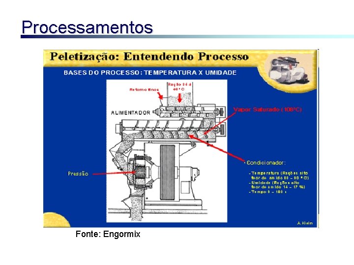 Processamentos Fonte: Engormix 