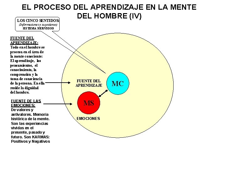 EL PROCESO DEL APRENDIZAJE EN LA MENTE DEL HOMBRE (IV) LOS CINCO SENTIDOS: (Informaciones