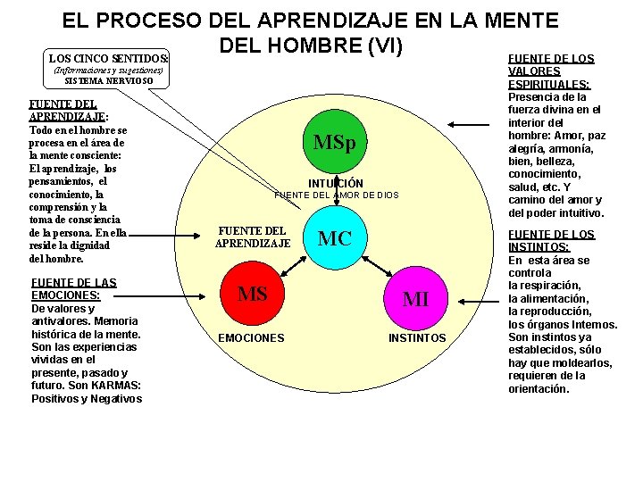 EL PROCESO DEL APRENDIZAJE EN LA MENTE DEL HOMBRE (VI) LOS CINCO SENTIDOS: FUENTE