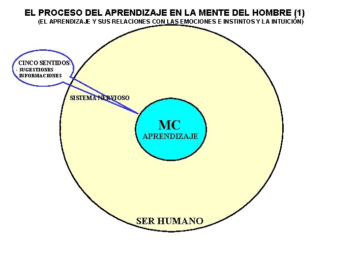 EL PROCESO DEL APRENDIZAJE EN LA MENTE DEL HOMBRE (1) (EL APRENDIZAJE Y SUS