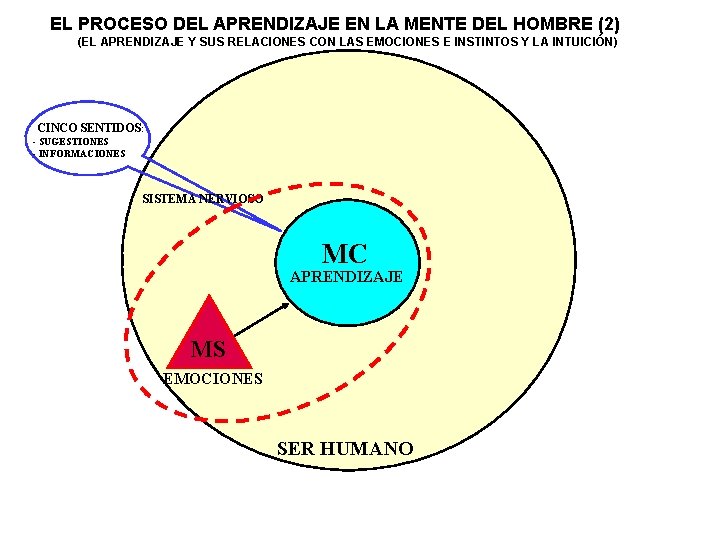 EL PROCESO DEL APRENDIZAJE EN LA MENTE DEL HOMBRE (2) (EL APRENDIZAJE Y SUS