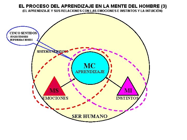 EL PROCESO DEL APRENDIZAJE EN LA MENTE DEL HOMBRE (3) (EL APRENDIZAJE Y SUS