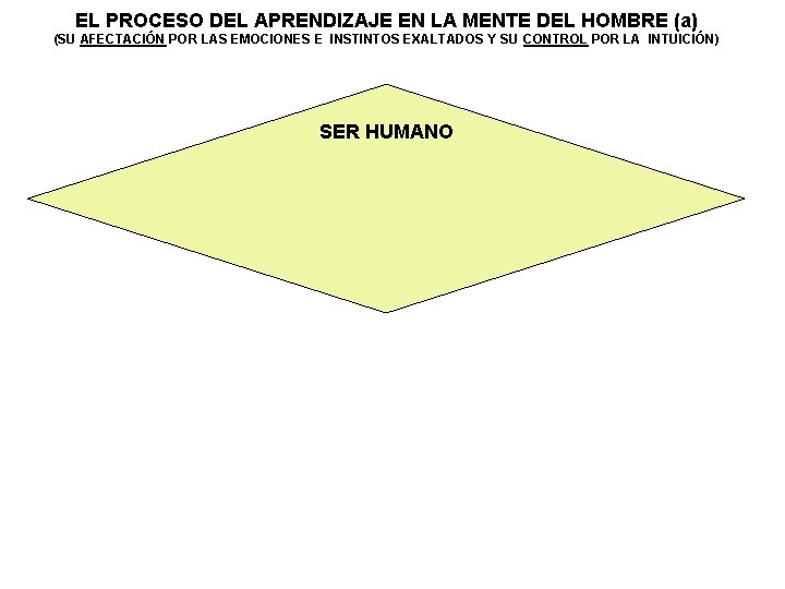 EL PROCESO DEL APRENDIZAJE EN LA MENTE DEL HOMBRE (a) (SU AFECTACIÓN POR LAS