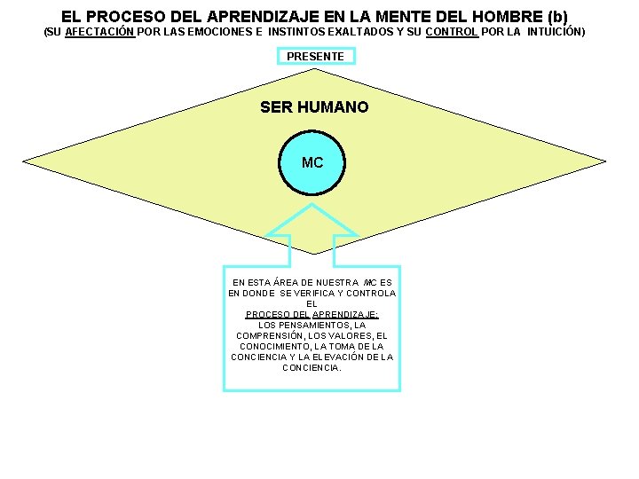 EL PROCESO DEL APRENDIZAJE EN LA MENTE DEL HOMBRE (b) (SU AFECTACIÓN POR LAS EL PROCESO DEL APRENDIZAJE EN LA MENTE DEL HOMBRE (b) (SU AFECTACIÓN POR LAS