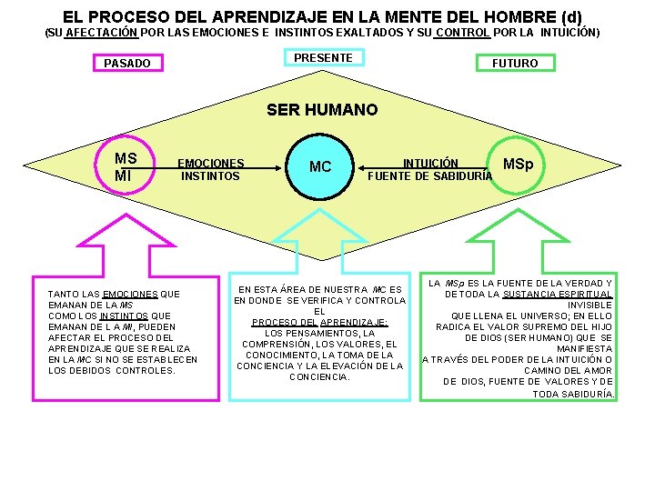 EL PROCESO DEL APRENDIZAJE EN LA MENTE DEL HOMBRE (d) (SU AFECTACIÓN POR LAS