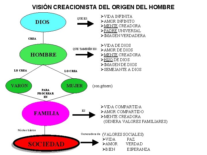 VISIÓN CREACIONISTA DEL ORIGEN DEL HOMBRE ØVIDA INFINITA ØAMOR INFINITO ØMENTE CREADORA ØPADRE UNIVERSAL