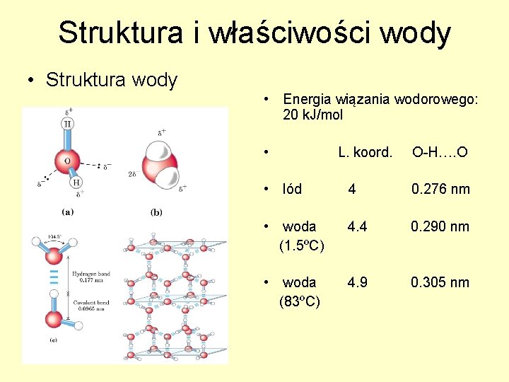 Struktura i właściwości wody • Struktura wody • Energia wiązania wodorowego: 20 k. J/mol