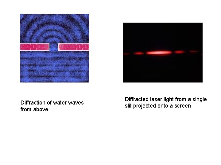 Diffraction of water waves from above Diffracted laser light from a single slit projected Diffraction of water waves from above Diffracted laser light from a single slit projected