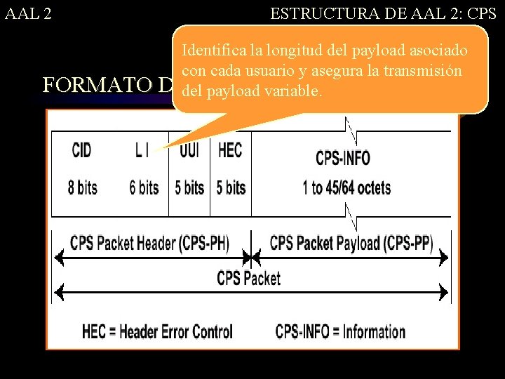 AAL 2 ESTRUCTURA DE AAL 2: CPS Identifica la longitud del payload asociado con