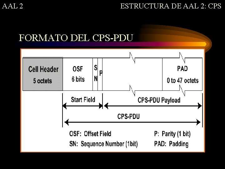 AAL 2 ESTRUCTURA DE AAL 2: CPS FORMATO DEL CPS-PDU 