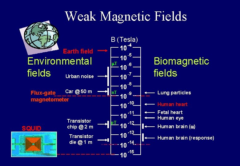 Weak Magnetic Fields B (Tesla) 10 Earth field Environmental fields Urban noise Car @ Weak Magnetic Fields B (Tesla) 10 Earth field Environmental fields Urban noise Car @