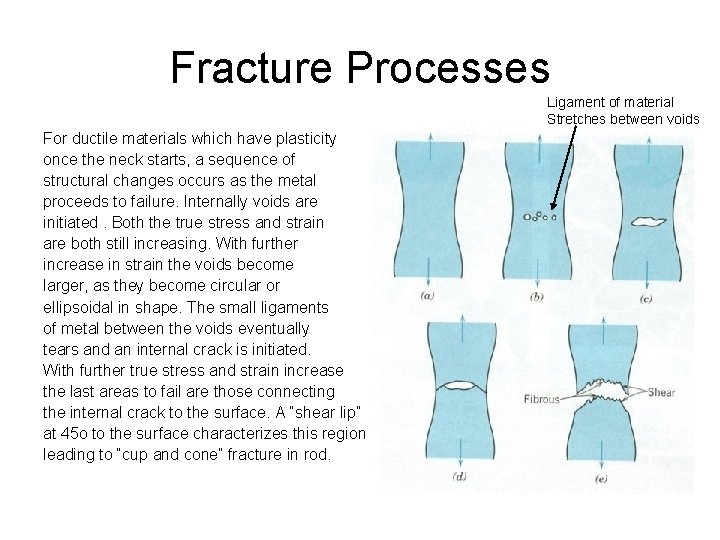Fracture Processes Ligament of material Stretches between voids For ductile materials which have plasticity