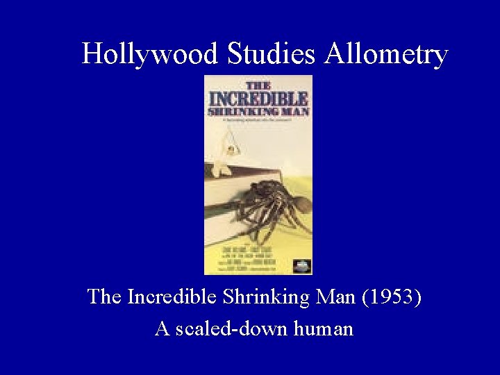 Hollywood Studies Allometry The Incredible Shrinking Man (1953) A scaled-down human Hollywood Studies Allometry The Incredible Shrinking Man (1953) A scaled-down human