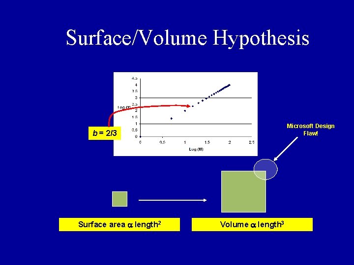 Surface/Volume Hypothesis Microsoft Design Flaw! b = 2/3 Surface area length 2 Volume length Surface/Volume Hypothesis Microsoft Design Flaw! b = 2/3 Surface area length 2 Volume length