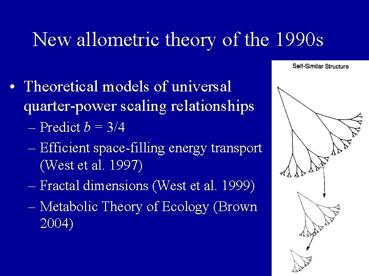 New allometric theory of the 1990 s • Theoretical models of universal quarter-power scaling New allometric theory of the 1990 s • Theoretical models of universal quarter-power scaling