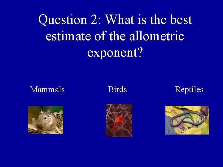 Question 2: What is the best estimate of the allometric exponent? Mammals Birds Reptiles Question 2: What is the best estimate of the allometric exponent? Mammals Birds Reptiles