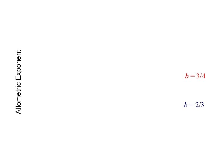 Allometric Exponent b = 3/4 b = 2/3 Allometric Exponent b = 3/4 b = 2/3