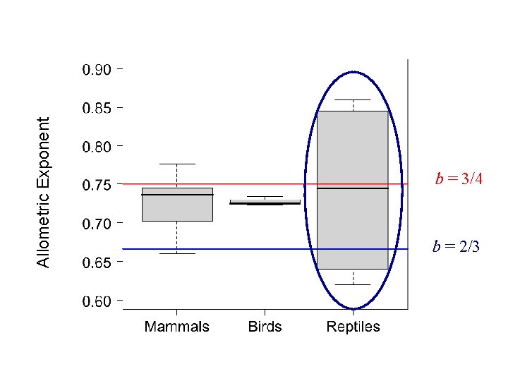 Allometric Exponent b = 3/4 b = 2/3 Allometric Exponent b = 3/4 b = 2/3