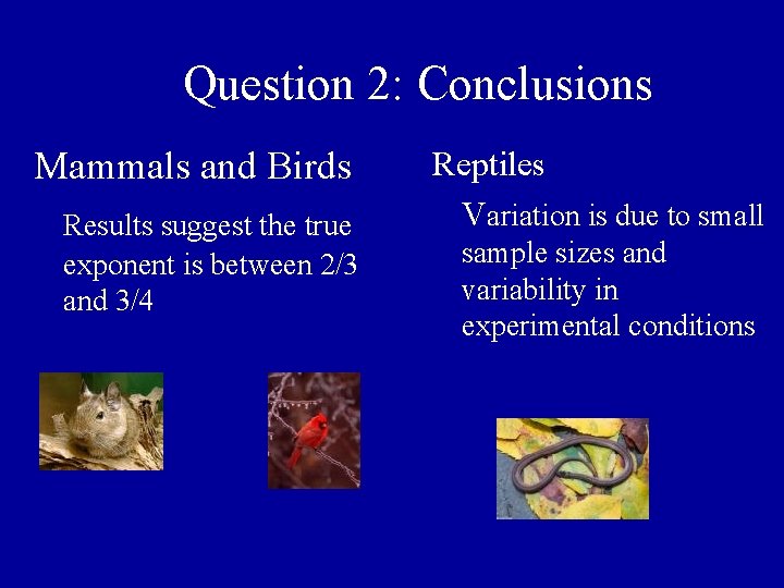 Question 2: Conclusions Mammals and Birds Results suggest the true exponent is between 2/3 Question 2: Conclusions Mammals and Birds Results suggest the true exponent is between 2/3