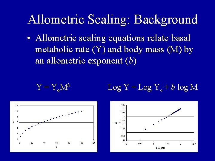 Allometric Scaling: Background • Allometric scaling equations relate basal metabolic rate (Y) and body Allometric Scaling: Background • Allometric scaling equations relate basal metabolic rate (Y) and body