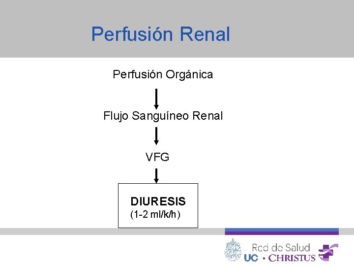 Perfusión Renal Perfusión Orgánica Flujo Sanguíneo Renal VFG DIURESIS (1 -2 ml/k/h) 