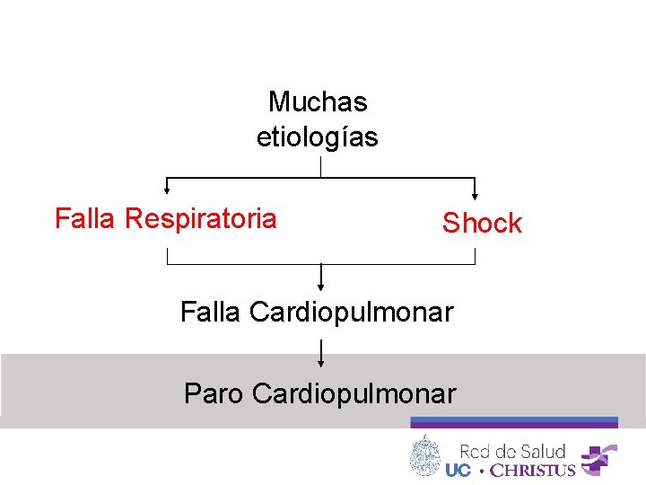 Muchas etiologías Falla Respiratoria Shock Falla Cardiopulmonar Paro Cardiopulmonar 