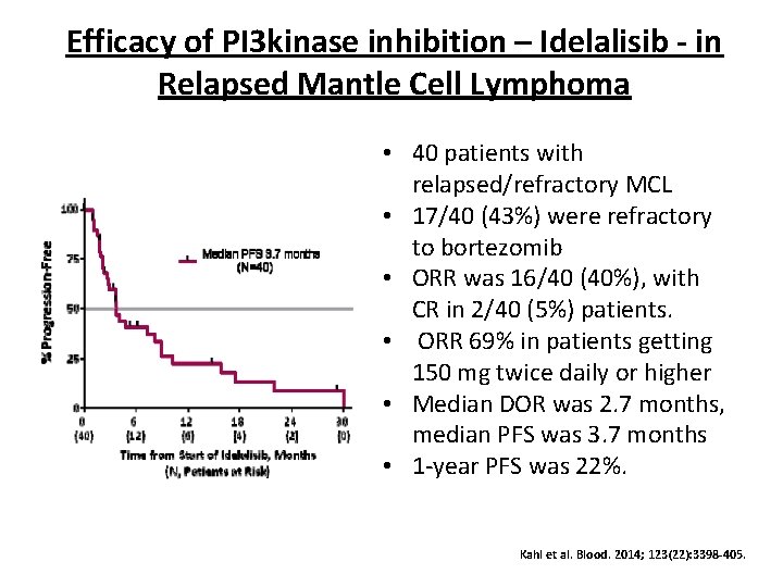Efficacy of PI 3 kinase inhibition – Idelalisib - in Relapsed Mantle Cell Lymphoma