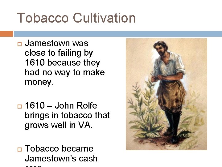 Tobacco Cultivation Jamestown was close to failing by 1610 because they had no way